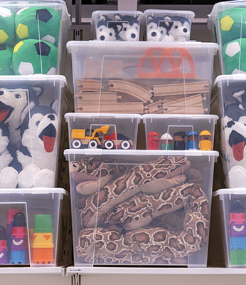 Consumer Goods